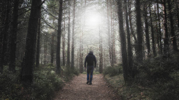 istock man walking through a lush forest 1394026565
