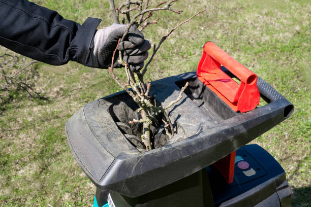 main gauche de l’homme dans un gant de travail insérant des branches d’arbre dans un broyeur de jardin électrique avec une pelouse altérée en arrière-plan. nettoyage autour de la maison. travailler dans le jardin. - broyeur de branches photos et images de collection