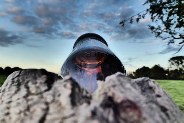 A bottle was put in a hole that was made in a tree naturally.