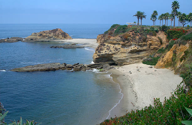 istock Laguna Beach coastline 139403035
