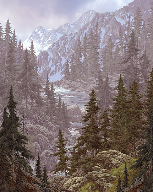 Rocky Mountain Stream