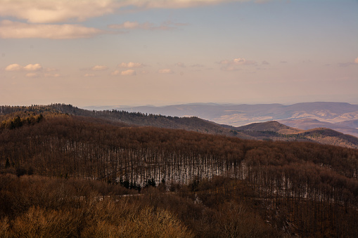 The winter forest, Mátra, Kékestető, Hungary.