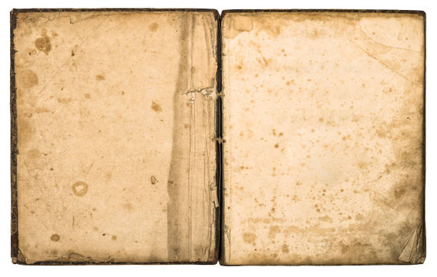 opened antique book with blank page isolated over white background.
