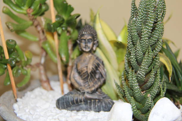 statue de bouddha dans un vase avec des plantes succulentes. - tibetan buddhism photos et images de collection