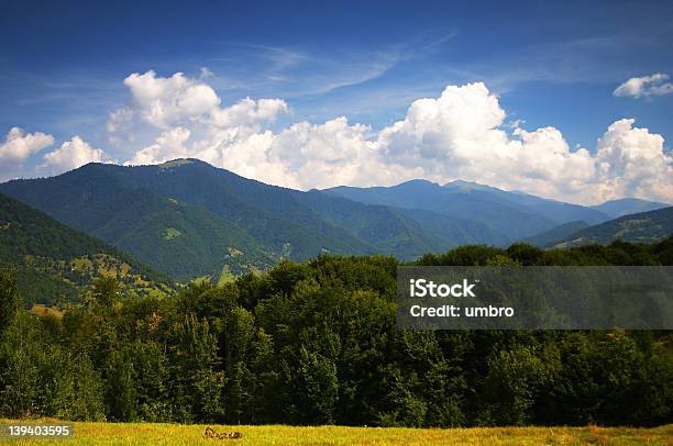 Foto de Paisagem e mais fotos de stock de Acender - Acender, Arranjar, Azul