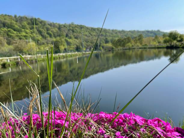 istock Flower lake 1394037835