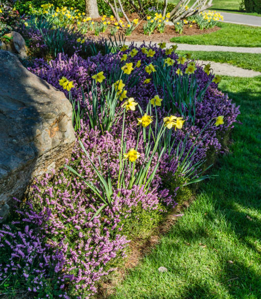 istock Lush Spring Garden 3 1394038110