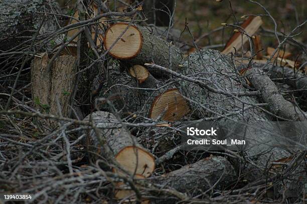 Cut Wood Stock Photo - Download Image Now - Burning, Cutting, Fire - Natural Phenomenon