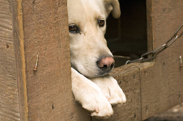 istock dont put me in a box 139403881