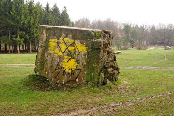 Adolf Hitler's bunker remains. Residence "Führerhauptquartier Werwolf" in Vinnytsia, Ukraine. Swastika on a piece of concrete stock photo