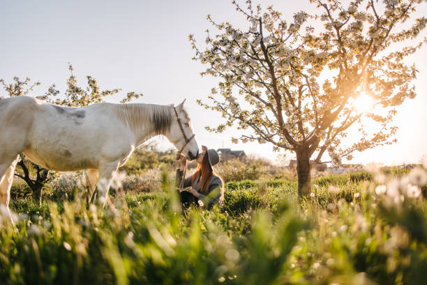 an idyllic scene of a young red hair woman sitting on the grass with her horse and kissing it - serbia horse nature landscape imagens e fotografias de stock