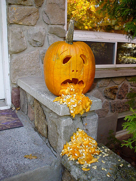 Vomiting pumpkin That's what happens when you eat too much candy throwing up pumpkin stock pictures, royalty-free photos & images