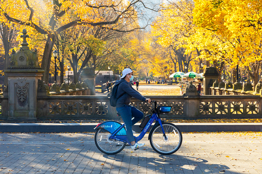 man on mountain bike near utrecht in the netherlands on forest road between colorful leaves in the fall