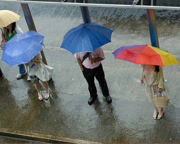 people waiting at busstop in the rain