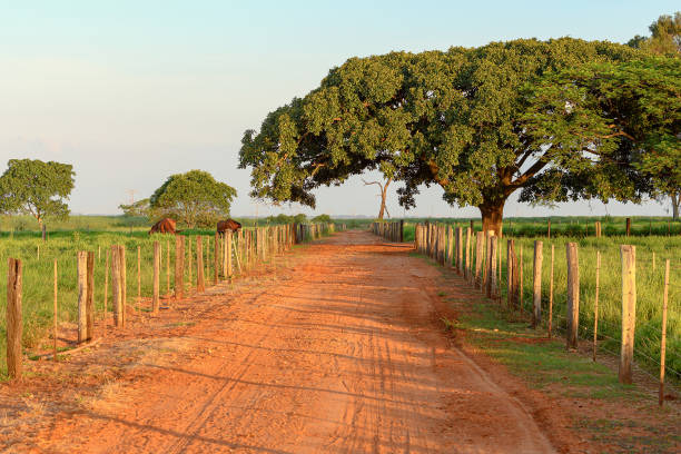 istock Dirt road of a rural area 1394043793