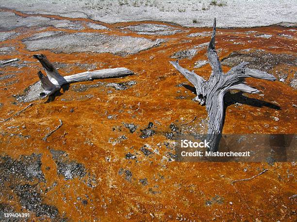 Enlardar Foto de stock y más banco de imágenes de Aire libre - Aire libre, Boscaje, Correr