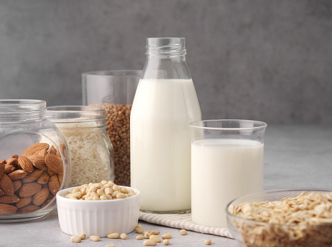 Assortment of organic vegan non-dairy milk from nuts, pine nuts, oatmeal, rice, buckwheat, almonds, coconut in glasses on a gray background. Drink, healthcare, diet and nutrition concept. Copy space.