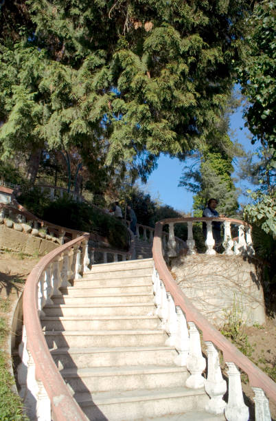 istock Stairs and trees 1394044858