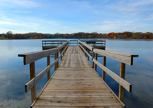 Autumn Dock stock photo