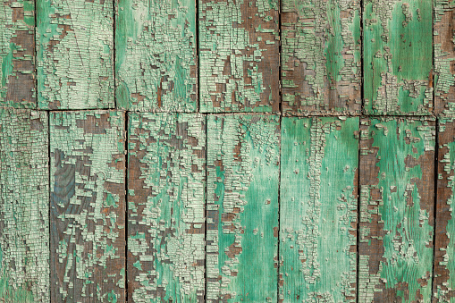 wood texture background. board