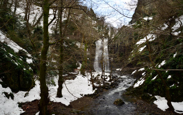 cascata di sudusen - yalova - yalova foto e immagini stock