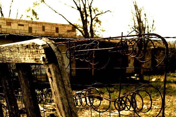 istock Outside The Fence 139404919
