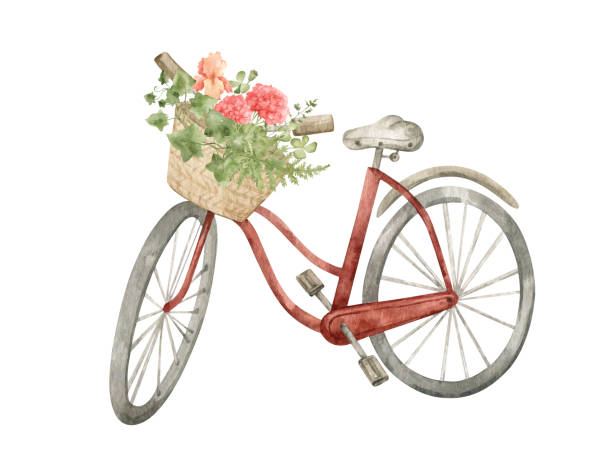 акварельные велосипед - bicycle isolated basket red stock illustrations