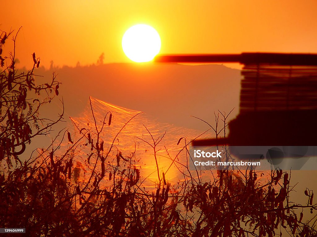 Treehouse tramonto nella giungla - Foto stock royalty-free di Afferrare