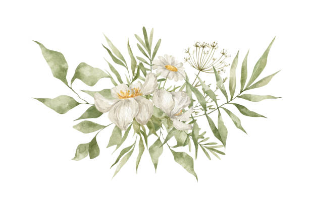 akwarela bukiet kwiatowy - invitation tea flower bouquet stock illustrations