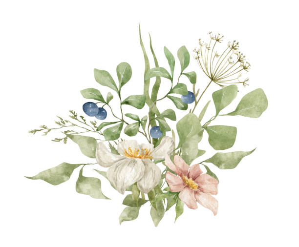 akwarela bukiet kwiatowy - invitation tea flower bouquet stock illustrations