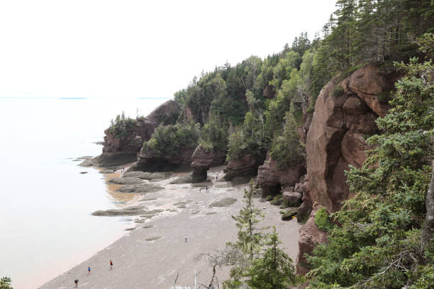 istock Hopewell Rocks Provincial Park 1394050049