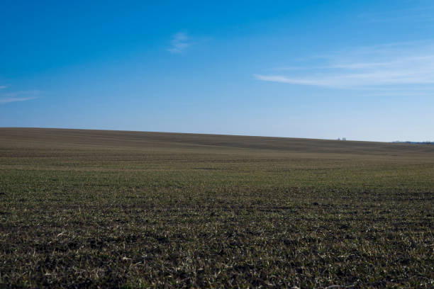 istock Ploughed field and blue sky as background. 1394051975