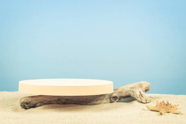 istock Empty round beige platform podium and dry tree twigs on white beach sand background. Minimal creative composition background for cosmetics or products presentation. Front view 1394053766