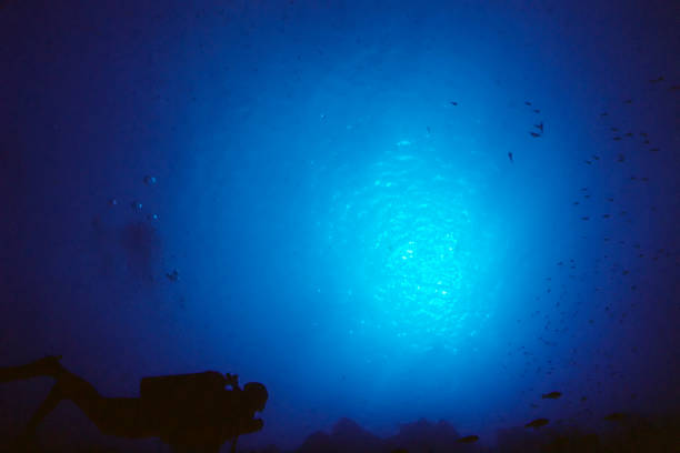 Scuba Diver niebieskie świecące – zdjęcie