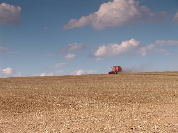 harvest stock photo