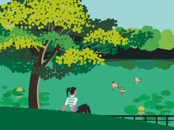 Girl relaxing near urban garden pond illustration Girl relaxing near urban garden pond vector poster. Green summer town park nature background. Ducks floating on lake. City natural parkland leisure rest and fun cozy place hand drawn illustration river clipart stock illustrations
