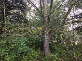 espe-stamm-unterdach.jpg?b=1&s=170x170&k=20&c=ebd4dtS8ppLRezcT7UmNQ0VpQB2gpGP2uH2jJ9oPEZ8=