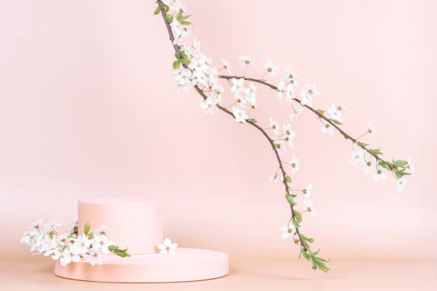 istock Podium platform for product presentation and spring flowering tree branch with white flowers on pastel background 1394058095