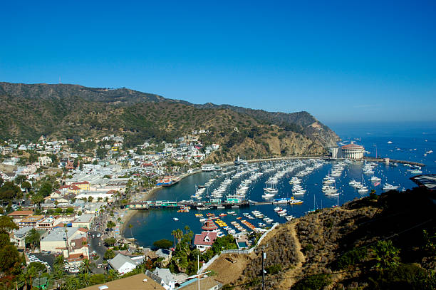 istock Overlooking Catalina Island 139406109