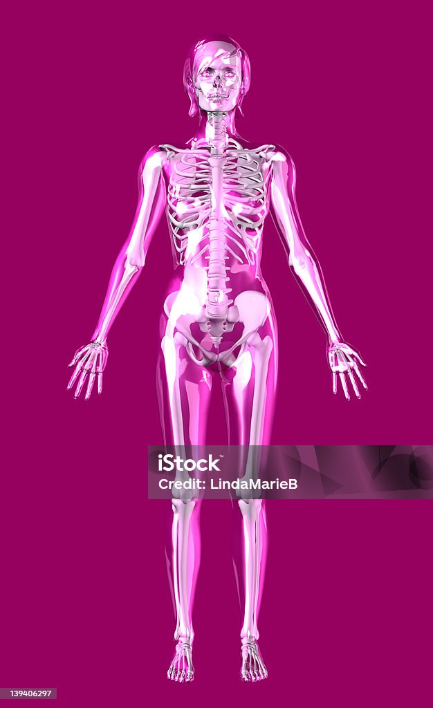 Прозрачный розовый женщина с каркасом внутри — включает Обтравка - Стоковые фото Анатомия роялти-фри