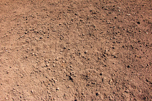 istock Soil texture. The soil is prepared for planting in spring. 1394065542