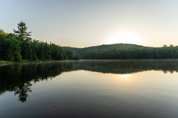 istock Fishing lake during sunrise. 1394065785