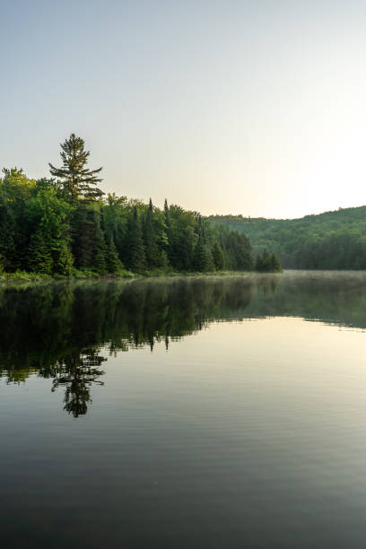 istock Fishing lake during sunrise. 1394065786
