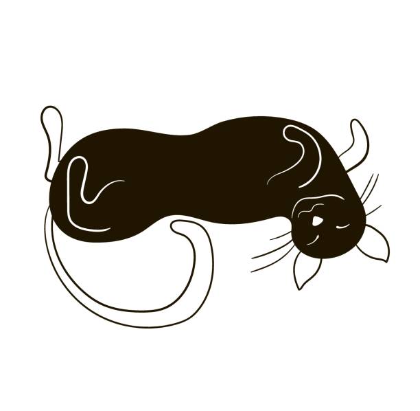 ilustrações, clipart, desenhos animados e ícones de gato engraçado fofo está de costas, pintado de preto. ilustração vetorial estilo doodle isolada em fundo branco - sketch symbol drawing illustration and painting