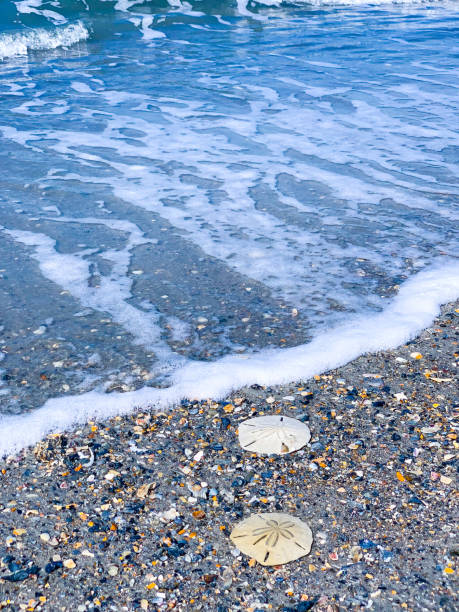 Outer Banks, North Carolina ocean scenery