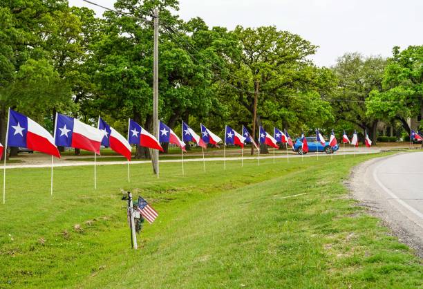 Texas Flags in a row, Landscape Texas flags, multiple in a row, beside a highway. The small American flag in front is attached to a cross honoring someone killed in a vehicle accident there. texas independence day stock pictures, royalty-free photos & images