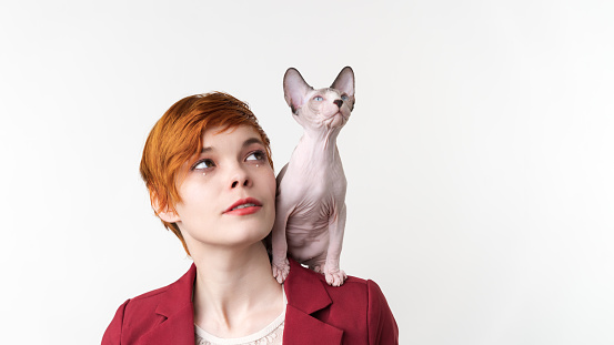 Beautiful hipster redhead young woman with short hair looking up, dressed in red jacket and playful Sphynx kitten sitting on her shoulder. Studio shot on white background. Copy space. Part of series