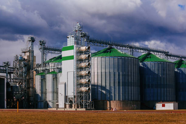 Automatic agricultural grain dryer and silos. Modern complex for drying, cleaning and storage grain