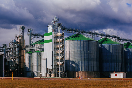 Automatic agricultural grain dryer and silos. Modern complex for drying, cleaning and storage grain.