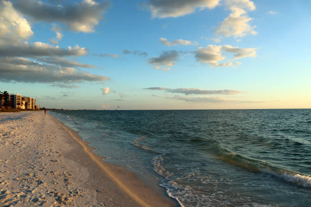istock Beautiful shoot of the seashore 1394077028